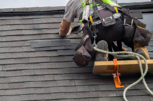 Best Roof Gutter Cleaning  in Ruthers, CA